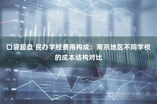 口袋超盘 民办学校费用构成：南京地区不同学校的成本结构对比
