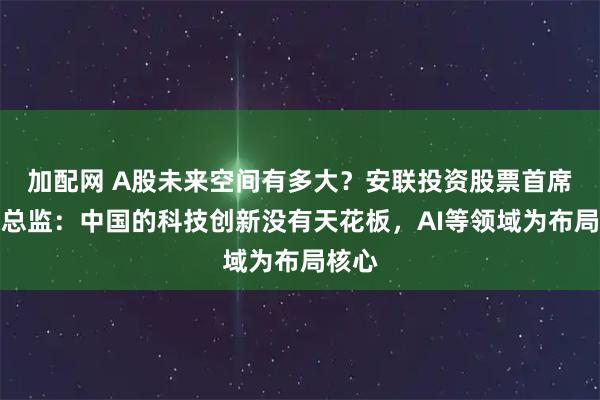 加配网 A股未来空间有多大？安联投资股票首席投资总监：中国的科技创新没有天花板，AI等领域为布局核心