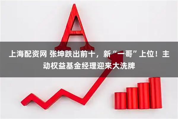 上海配资网 张坤跌出前十，新“一哥”上位！主动权益基金经理迎来大洗牌